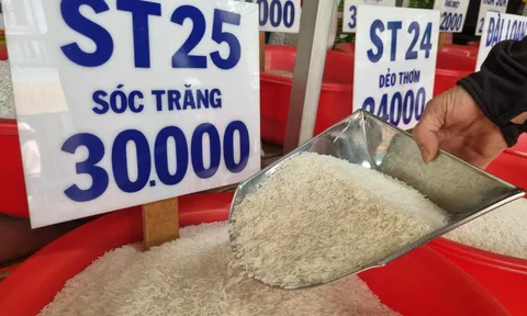 Bất ngờ Việt Nam chi 1,5 tỉ USD nhập khẩu gạo