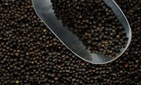 Giá 'vàng đen’ tăng chóng mặt, Việt Nam thu gần 1,3 tỷ USD trong 9 tháng