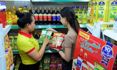 Dùng tiền huy động trái phiếu sai mục đích, ‘ông lớn’ bị phạt nặng