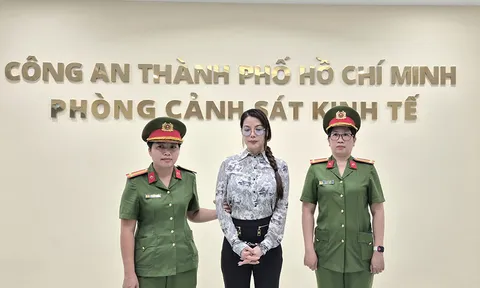 Khởi tố, bắt tạm giam nghệ sĩ, người mẫu Trương Ngọc Ánh