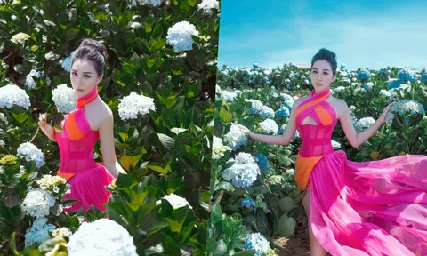 Hoa Hậu Huỳnh Thuý Anh đẹp mơ mộng giữa vườn hoa cẩm tú cầu