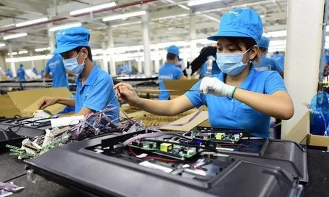 ADB tài trợ 4,6 triệu USD phát triển khu vực tư nhân ở Việt Nam