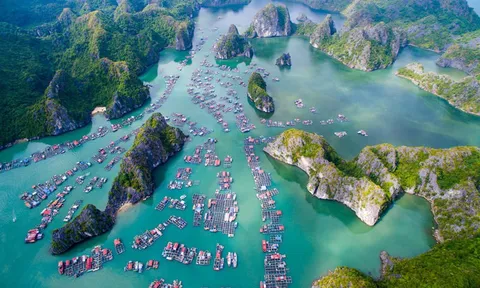 Đề cử Vịnh Hạ Long - Quần đảo Cát Bà là di sản thế giới