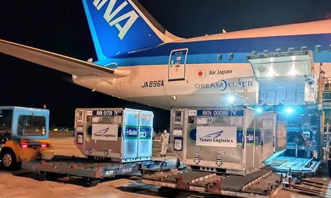 Sáng 9-7: 700.000 liều vắc xin Nhật Bản tặng về đến Việt Nam