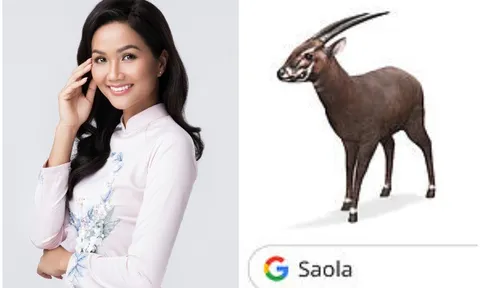 H’Hen Niê kêu gọi bảo vệ động vật quý hiếm