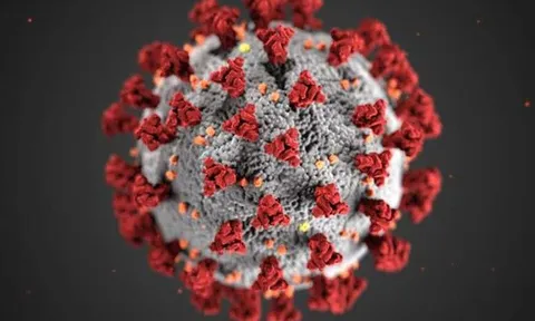 Phát hiện phương pháp mới để điều trị Covid-19