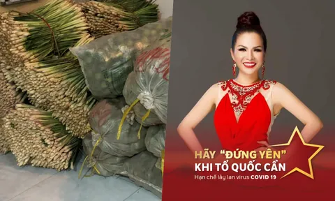 Hoa hậu Lê Thanh Thúy dành tặng hơn 14 tấn chanh, sả, gừng và thực phẩm hỗ trợ người dân chống dịch