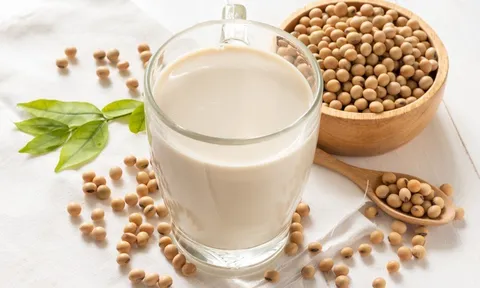 Uống sữa đậu nành có gây vô sinh?