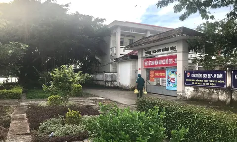 Cà Mau: Trưởng trạm y tế và con gái xin nghỉ việc sau vụ tiêu hủy chó